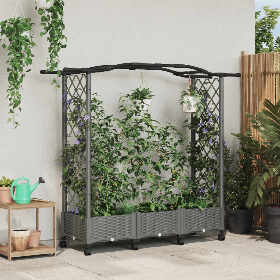 Verhoogd Bed met Trellis en Dak Lichtgrijs 169 x 40 x 129 cm PP