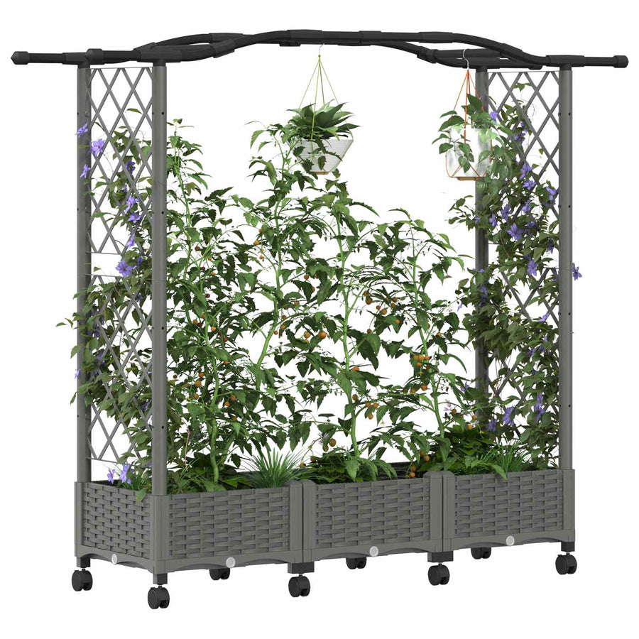 Verhoogd Bed met Trellis en Dak Lichtgrijs 169 x 40 x 129 cm PP