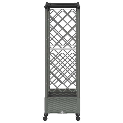 Verhoogd Bed met Trellis en Dak Lichtgrijs 169 x 40 x 129 cm PP