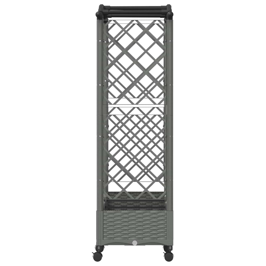 Verhoogd Bed met Trellis en Dak Lichtgrijs 169 x 40 x 129 cm PP