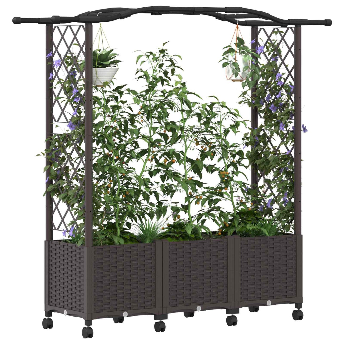 Verhoogd Bed met Trellis en Dak Bruin 164 x 40 x 144 cm PP