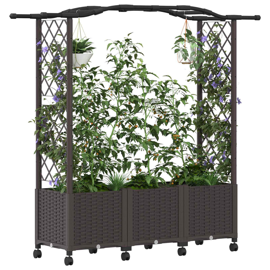 Verhoogd Bed met Trellis en Dak Bruin 164 x 40 x 144 cm PP