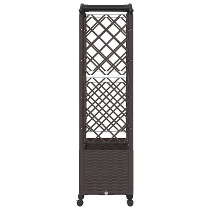 Verhoogd Bed met Trellis en Dak Bruin 164 x 40 x 144 cm PP