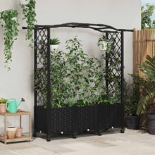 Verhoogd Bed met Trellis en Dak Zwart 164 x 40 x 144 cm PP
