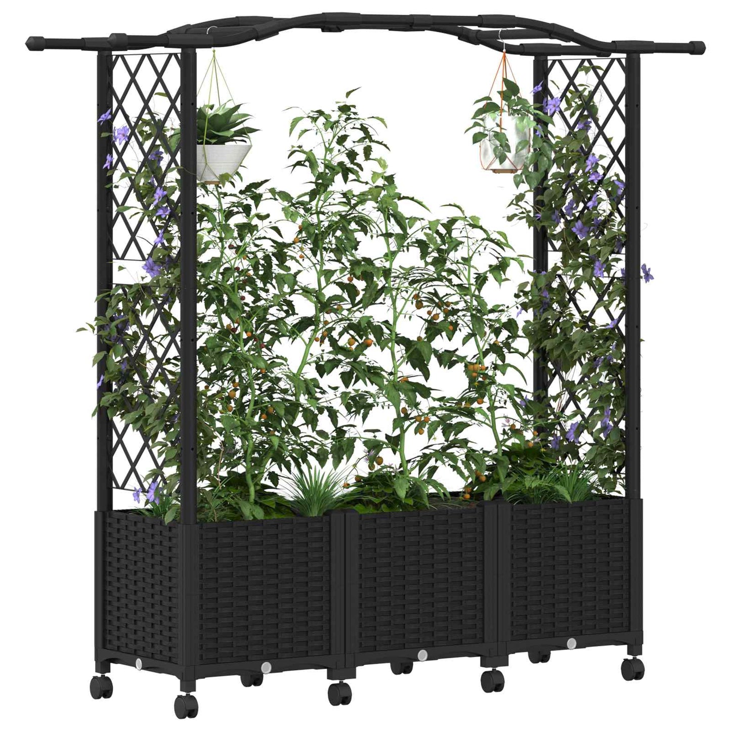 Verhoogd Bed met Trellis en Dak Zwart 164 x 40 x 144 cm PP