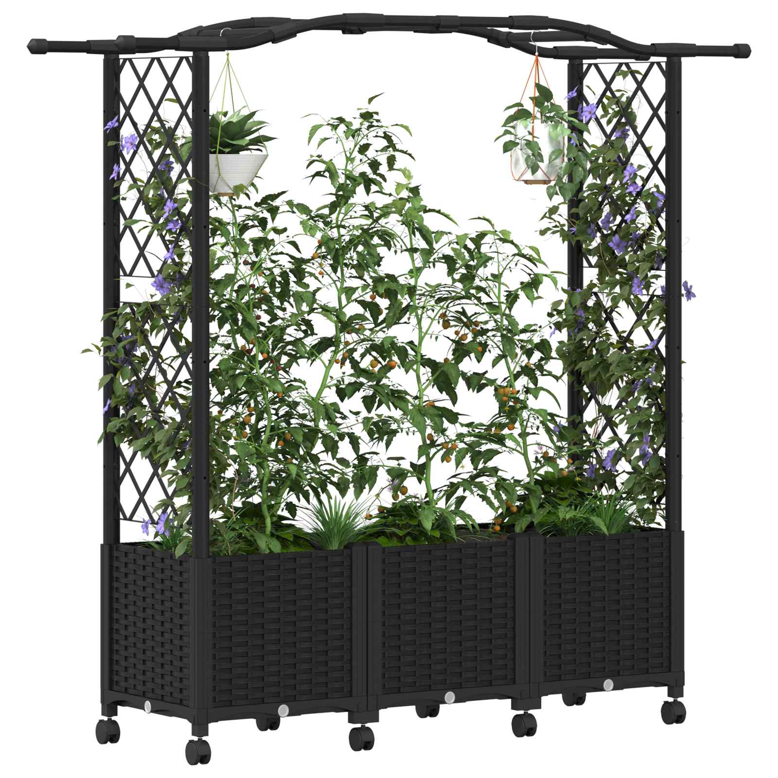 Verhoogd Bed met Trellis en Dak Zwart 164 x 40 x 144 cm PP