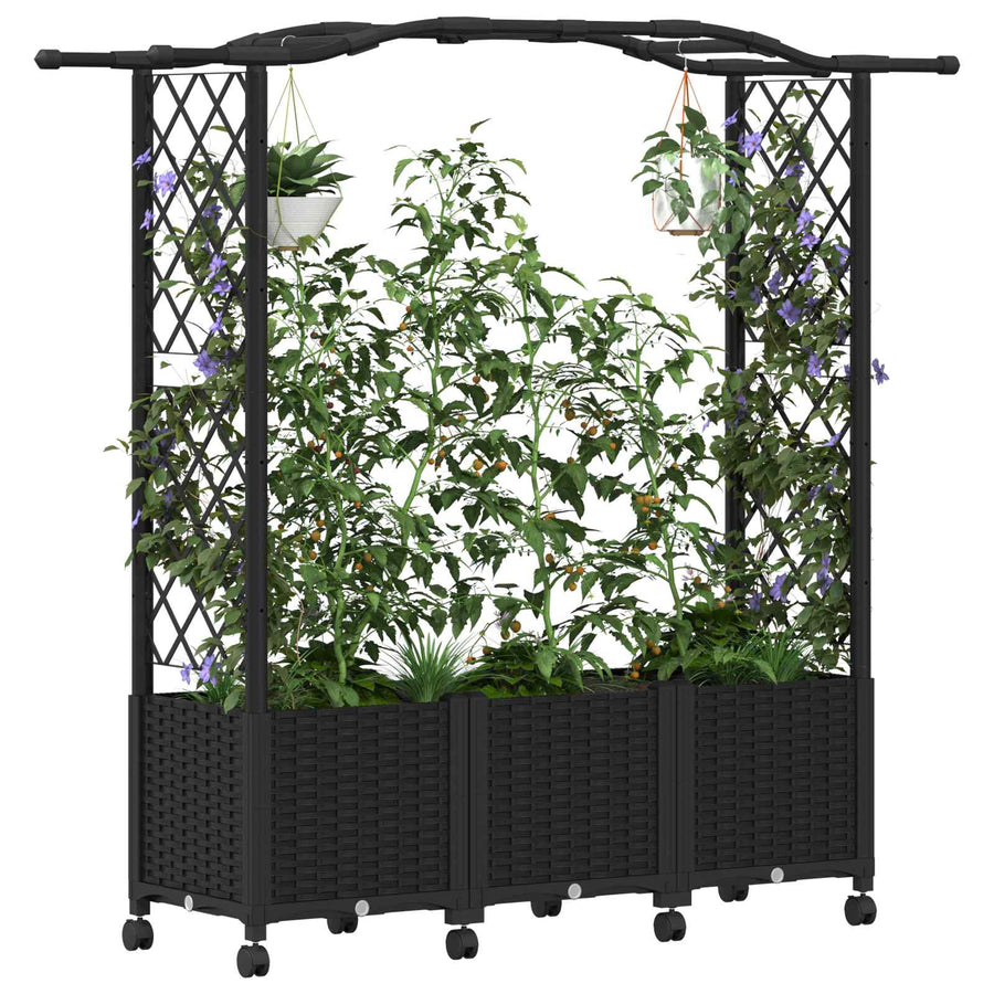 Verhoogd Bed met Trellis en Dak Zwart 164 x 40 x 144 cm PP
