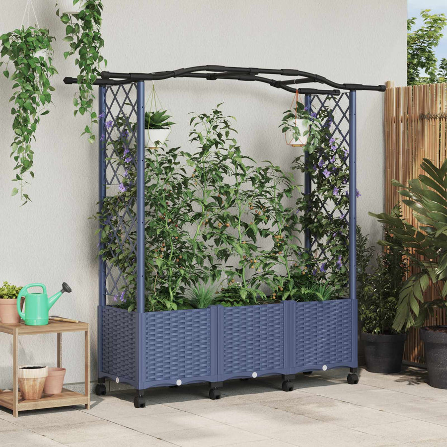 Verhoogd Bed met Trellis en Dak Grijs 164 x 40 x 144 cm PP