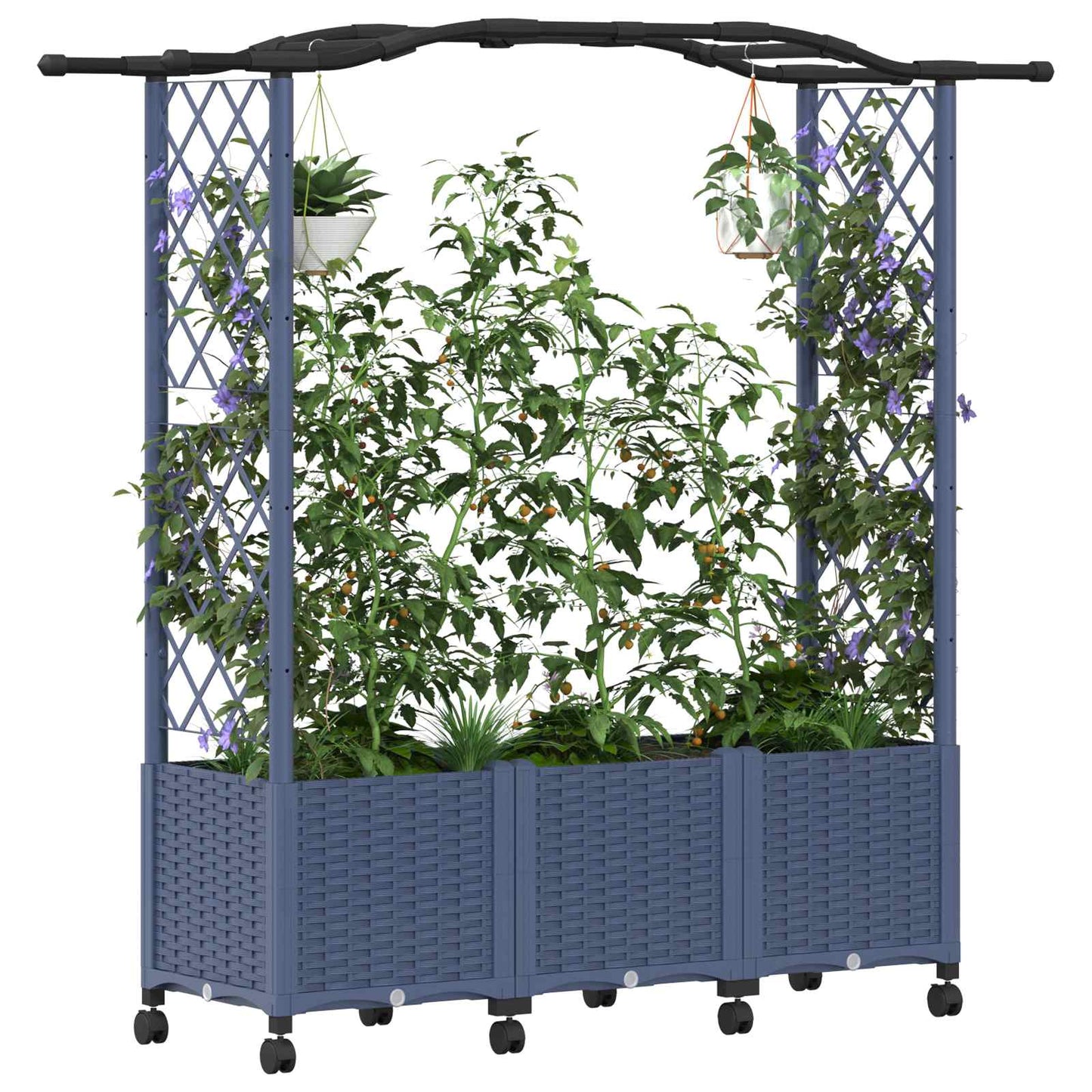 Verhoogd Bed met Trellis en Dak Grijs 164 x 40 x 144 cm PP