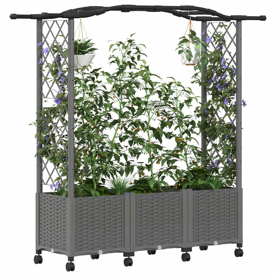 Verhoogd Bed met Trellis en Dak Lichtgrijs 164 x 40 x 144 cm PP
