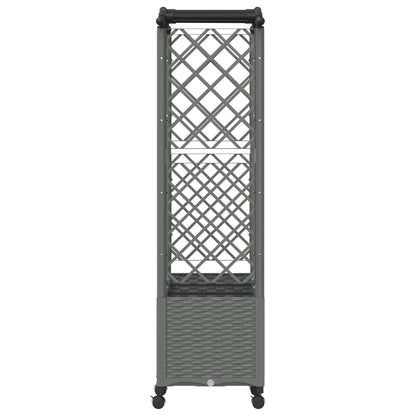 Verhoogd Bed met Trellis en Dak Lichtgrijs 164 x 40 x 144 cm PP