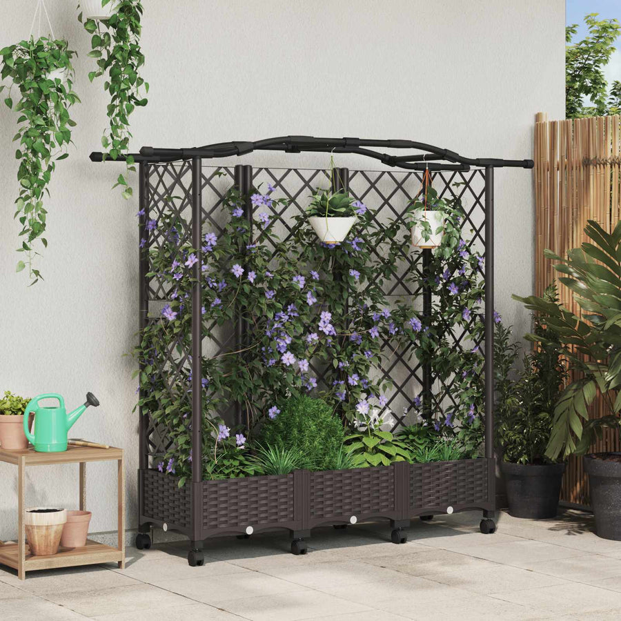 Verhoogd Bed met Trellis en Dak Bruin 163 x 40 x 129 cm PP