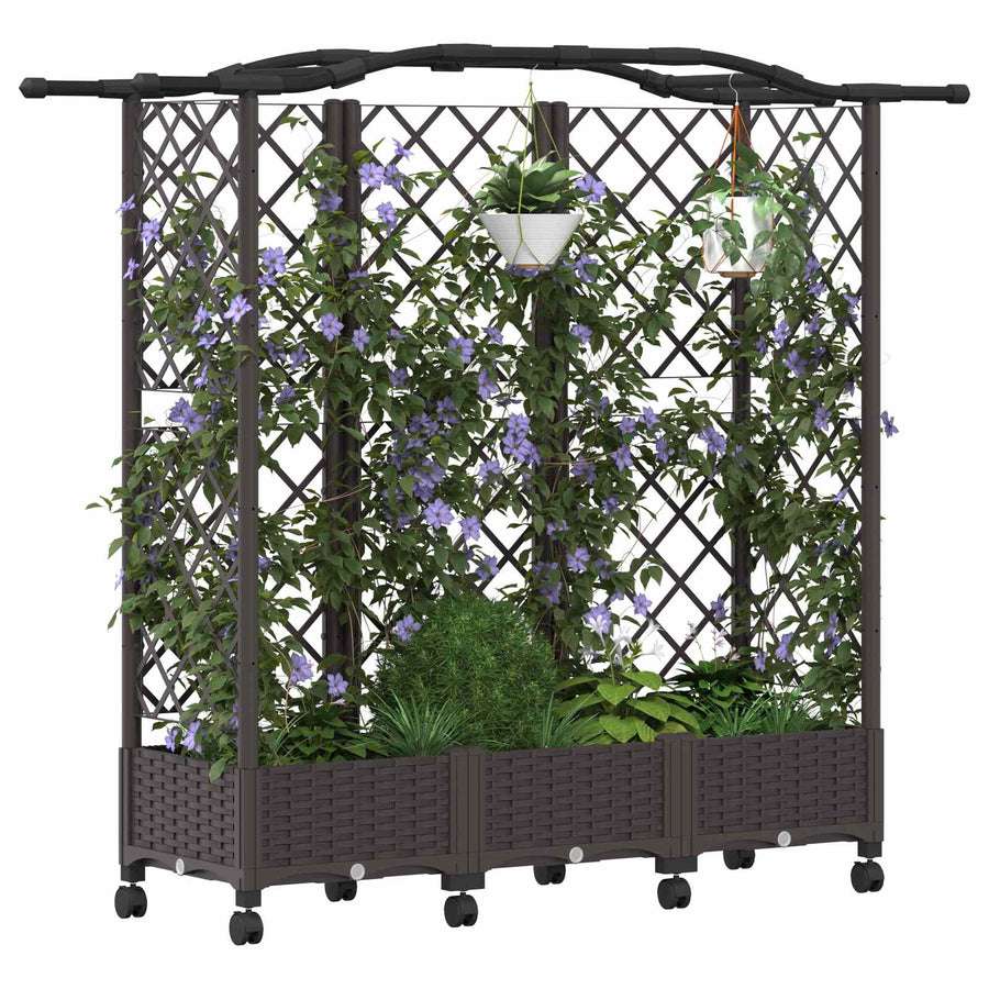 Verhoogd Bed met Trellis en Dak Bruin 163 x 40 x 129 cm PP