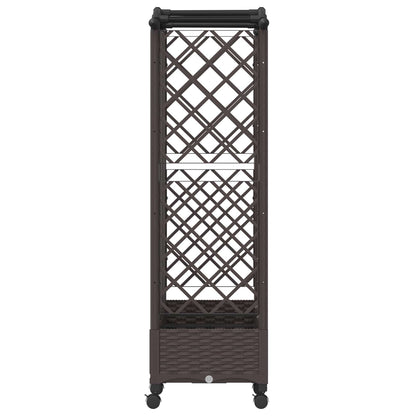 Verhoogd Bed met Trellis en Dak Bruin 163 x 40 x 129 cm PP