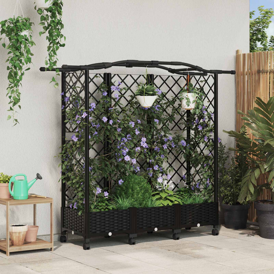 Verhoogd Bed met Trellis en Dak Zwart 163 x 40 x 129 cm PP