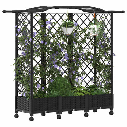 Verhoogd Bed met Trellis en Dak Zwart 163 x 40 x 129 cm PP