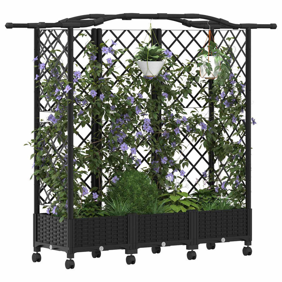 Verhoogd Bed met Trellis en Dak Zwart 163 x 40 x 129 cm PP