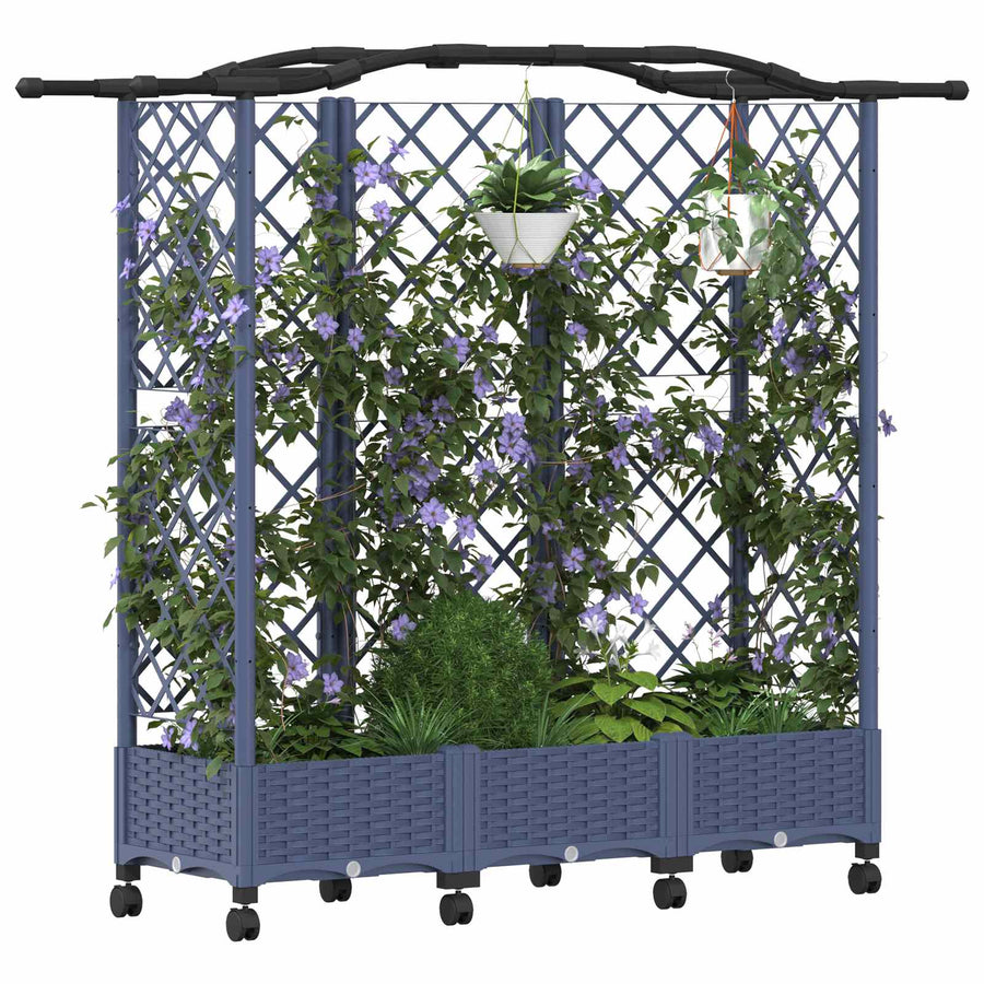 Verhoogd Bed met Trellis en Dak Grijs 163 x 40 x 129 cm PP