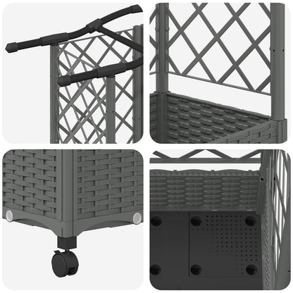 Verhoogd Bed met Trellis en Dak Lichtgrijs 163 x 40 x 129 cm PP