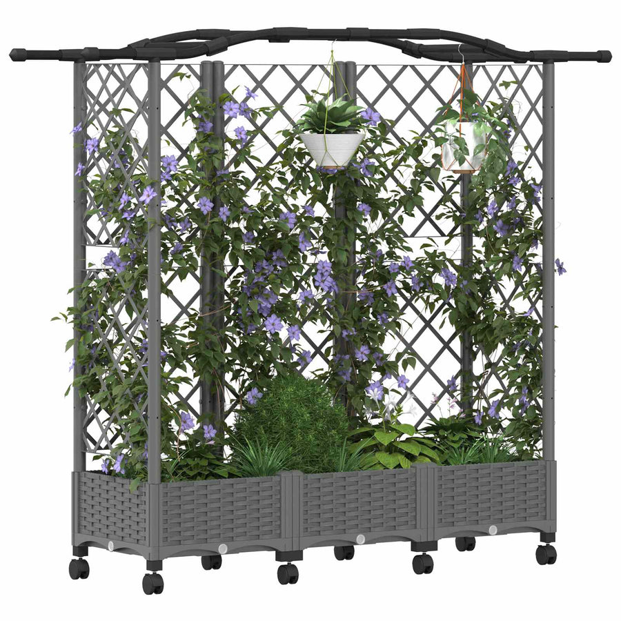 Verhoogd Bed met Trellis en Dak Lichtgrijs 163 x 40 x 129 cm PP