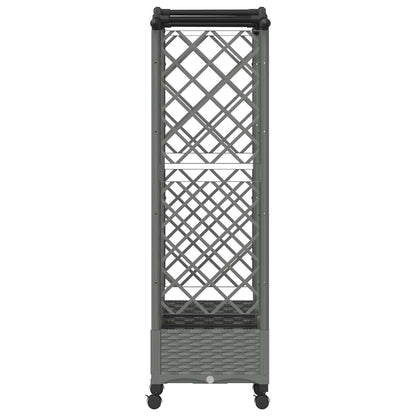 Verhoogd Bed met Trellis en Dak Lichtgrijs 163 x 40 x 129 cm PP
