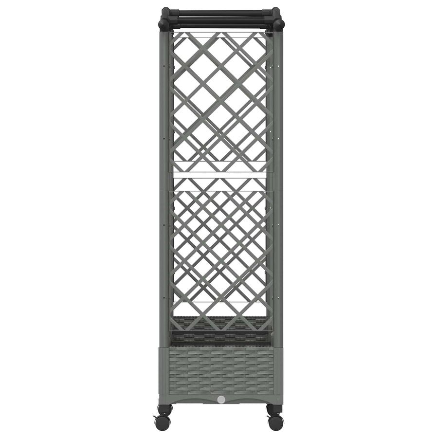 Verhoogd Bed met Trellis en Dak Lichtgrijs 163 x 40 x 129 cm PP