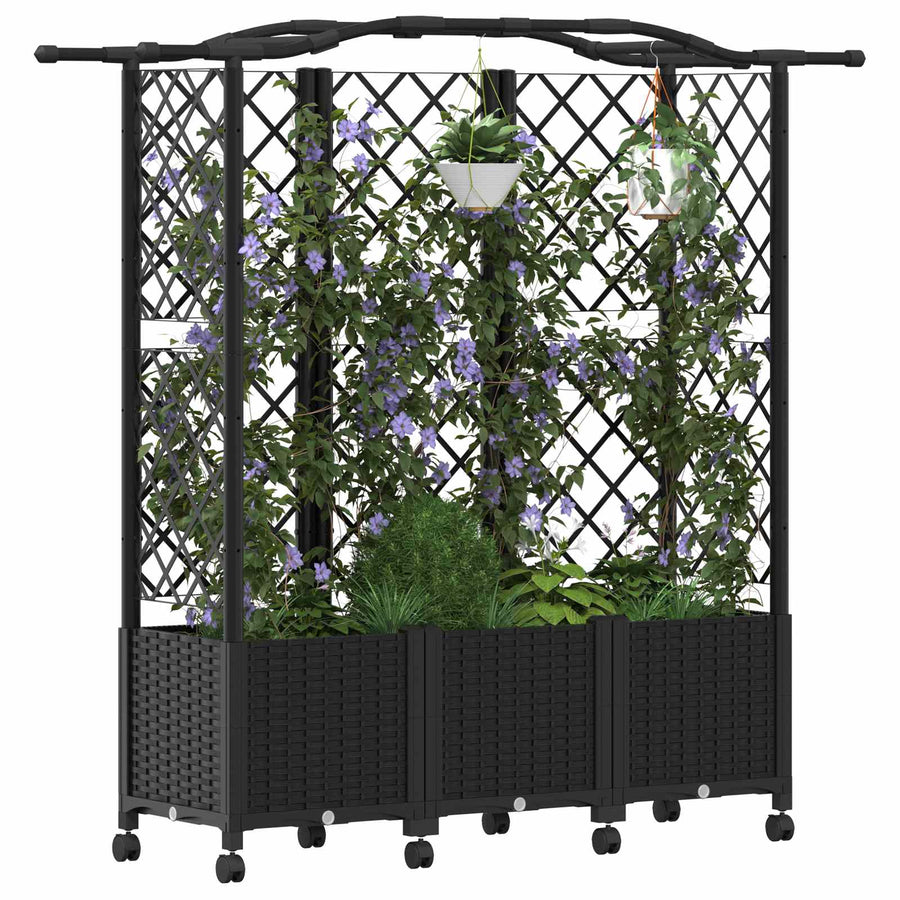 Verhoogd Bed met Trellis en Dak Zwart 163 x 40 x 144 cm PP