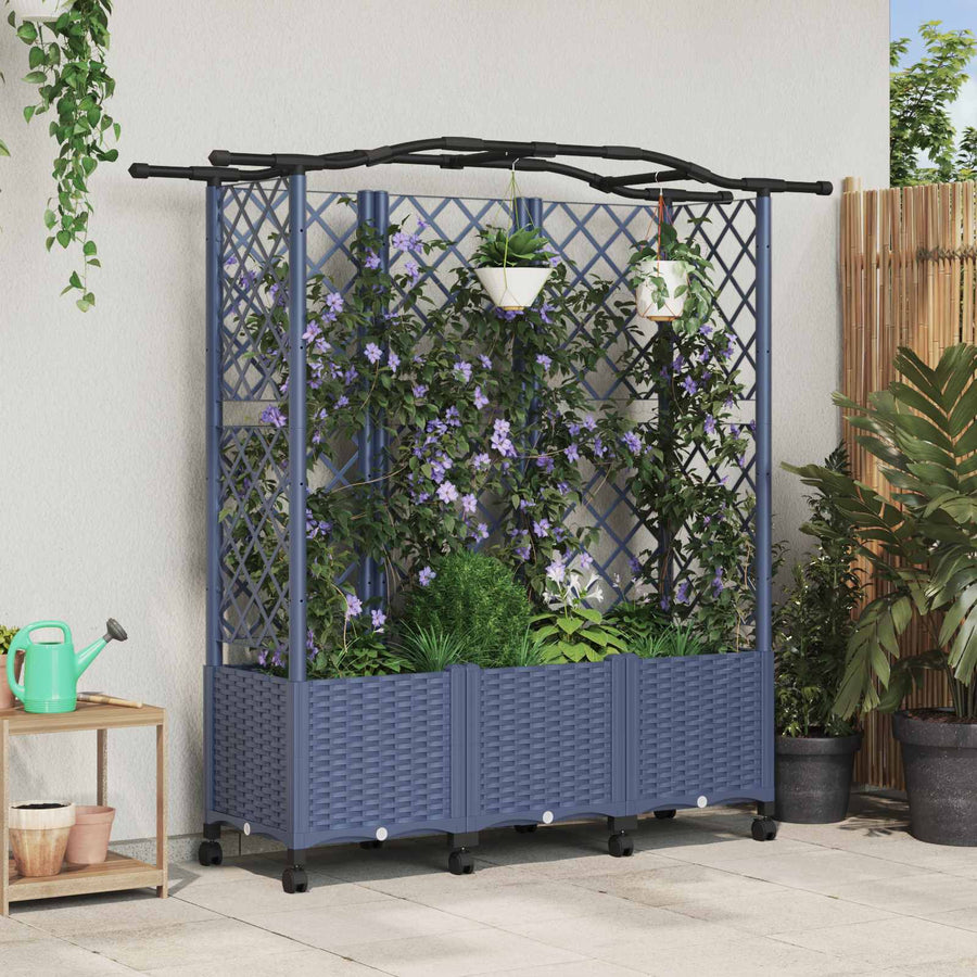 Verhoogd Bed met Trellis en Dak Grijs 163 x 40 x 144 cm PP