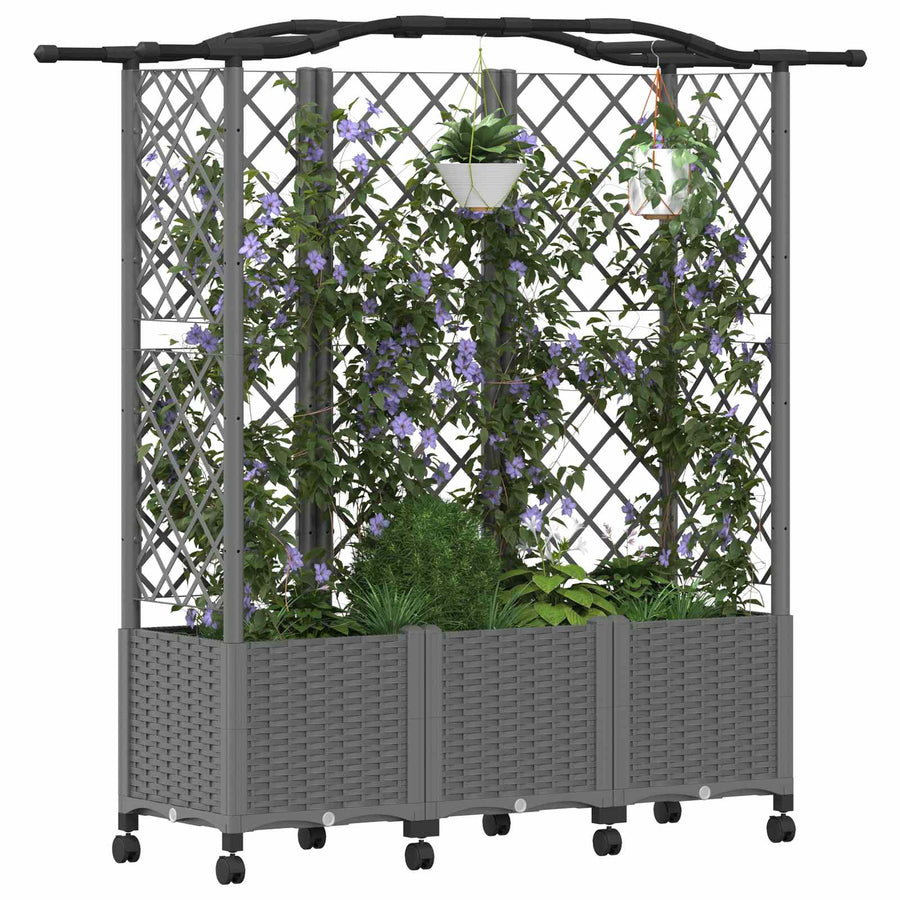Verhoogd Bed met Trellis en Dak Lichtgrijs 163 x 40 x 144 cm PP