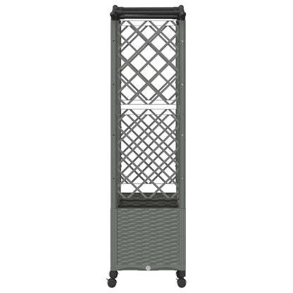 Verhoogd Bed met Trellis en Dak Lichtgrijs 163 x 40 x 144 cm PP