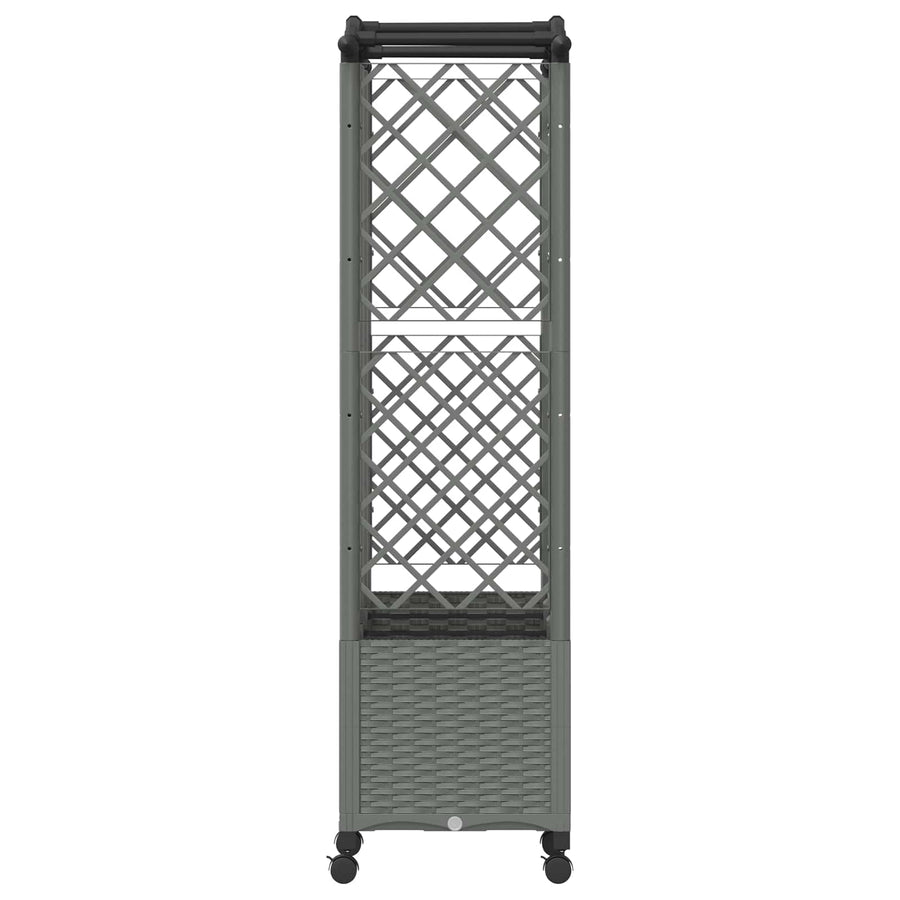 Verhoogd Bed met Trellis en Dak Lichtgrijs 163 x 40 x 144 cm PP