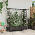 Verhoogd tuinbed met trellis en dak bruin 164x40x127 cm PP