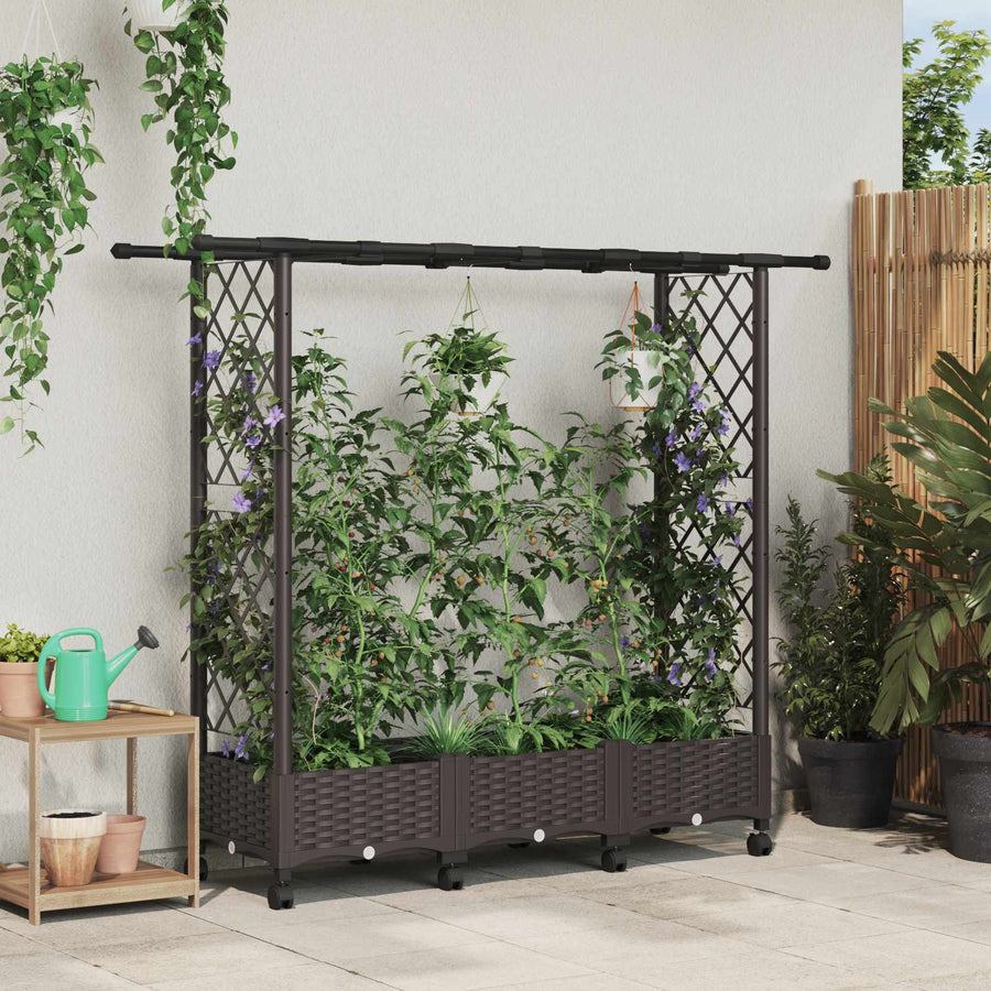 Verhoogd Bed met Trellis en Dak Bruin 164 x 40 x 127 cm PP