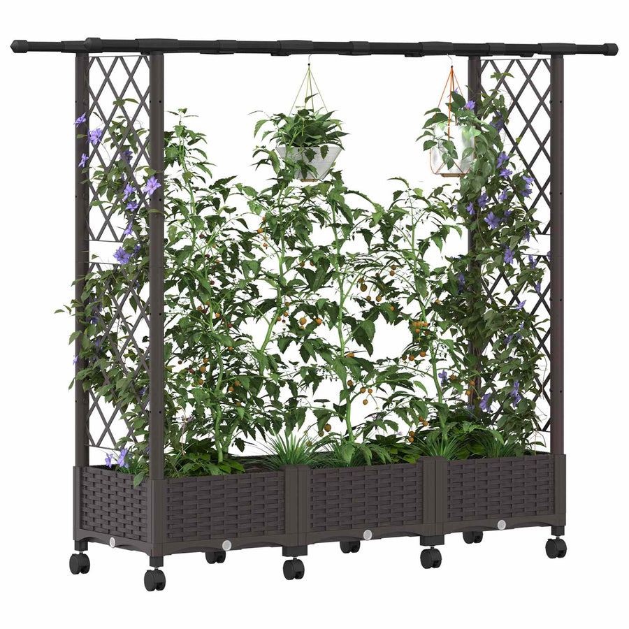 Verhoogd Bed met Trellis en Dak Bruin 164 x 40 x 127 cm PP