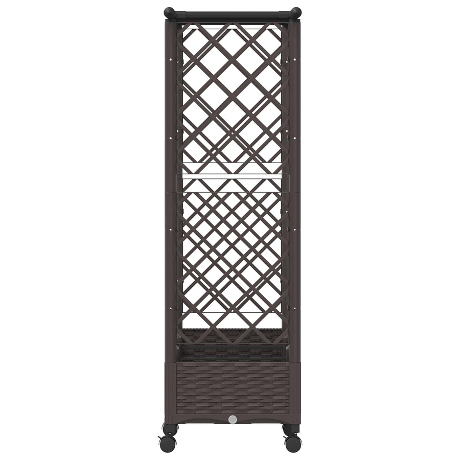 Verhoogd Bed met Trellis en Dak Bruin 164 x 40 x 127 cm PP