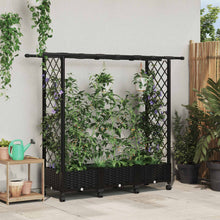 Verhoogd Bed met Trellis en Dak Zwart 164 x 40 x 127 cm PP