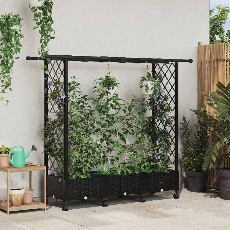 Verhoogd Bed met Trellis en Dak Zwart 164 x 40 x 127 cm PP