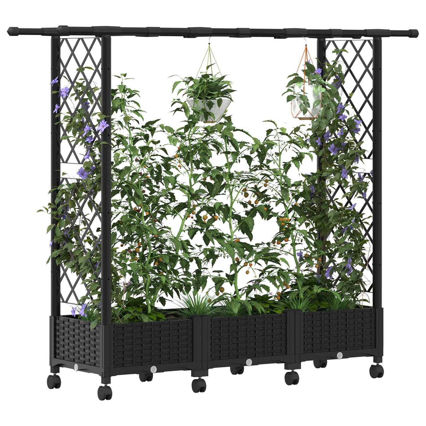 Verhoogd Bed met Trellis en Dak Zwart 164 x 40 x 127 cm PP