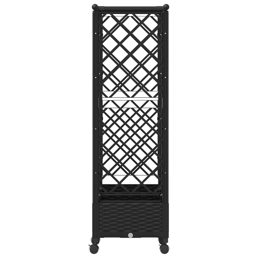 Verhoogd Bed met Trellis en Dak Zwart 164 x 40 x 127 cm PP
