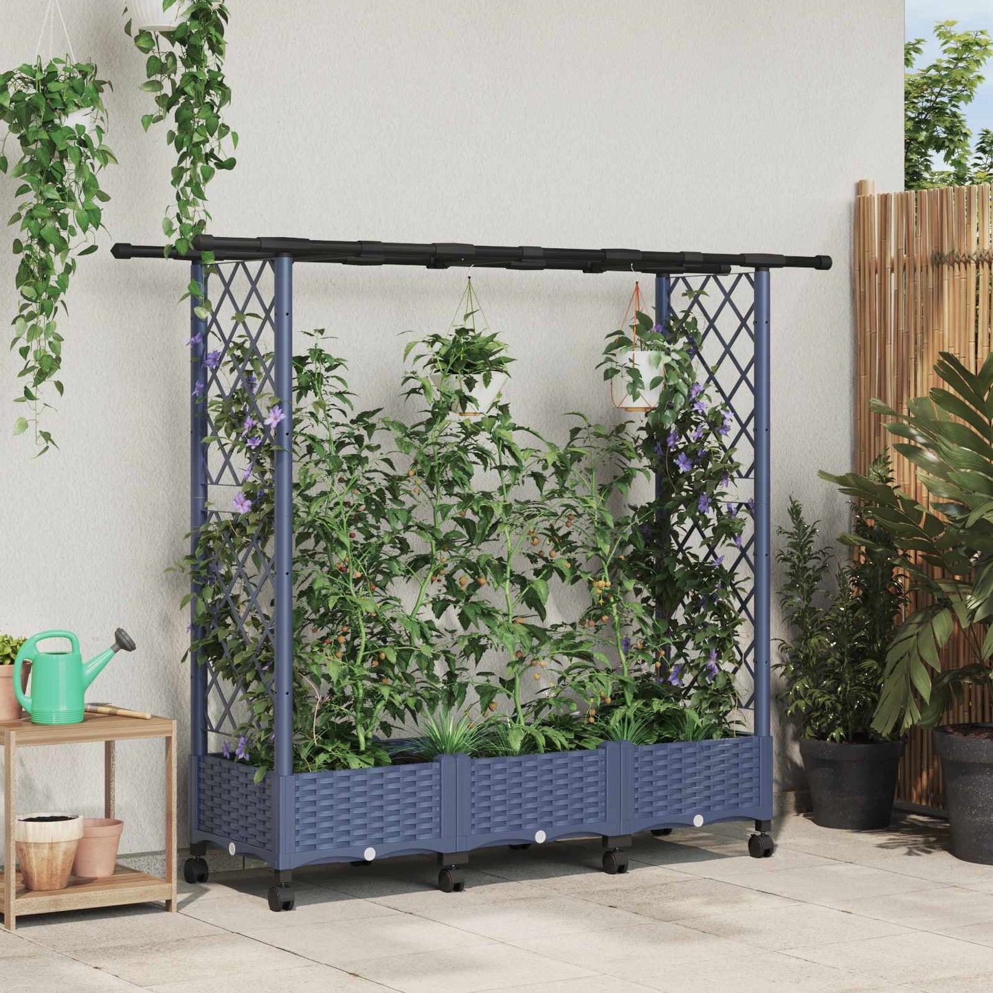 Verhoogd Bed met Trellis en Dak Grijs 164 x 40 x 127 cm PP