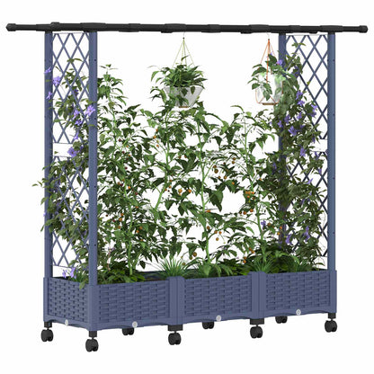 Verhoogd Bed met Trellis en Dak Grijs 164 x 40 x 127 cm PP