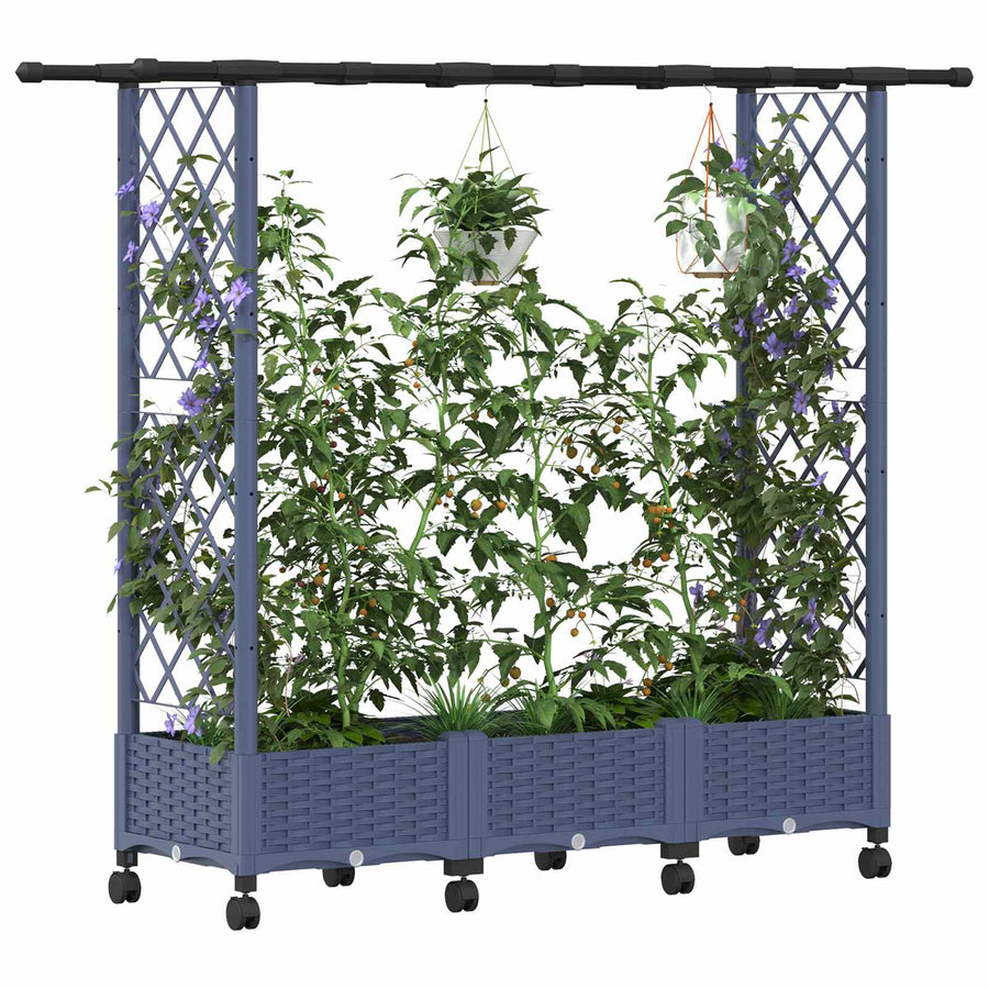 Verhoogd Bed met Trellis en Dak Grijs 164 x 40 x 127 cm PP
