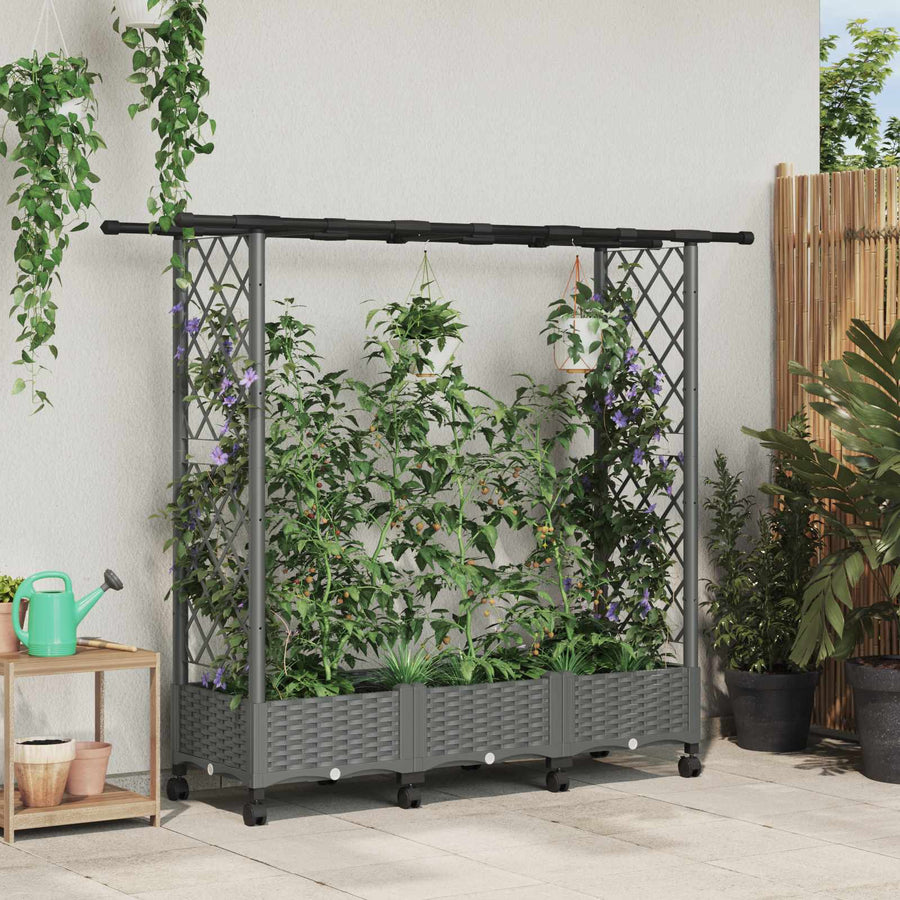 Verhoogd Bed met Trellis en Dak Lichtgrijs 164 x 40 x 127 cm PP