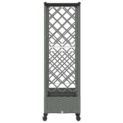 Verhoogd Bed met Trellis en Dak Lichtgrijs 164 x 40 x 127 cm PP