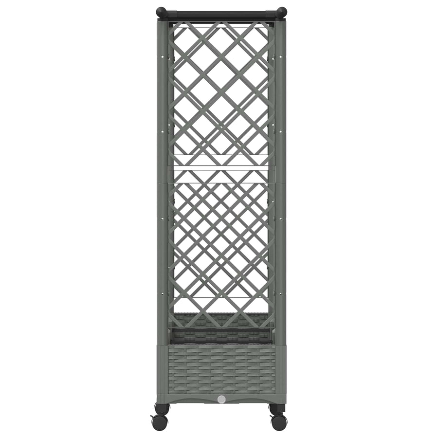 Verhoogd Bed met Trellis en Dak Lichtgrijs 164 x 40 x 127 cm PP
