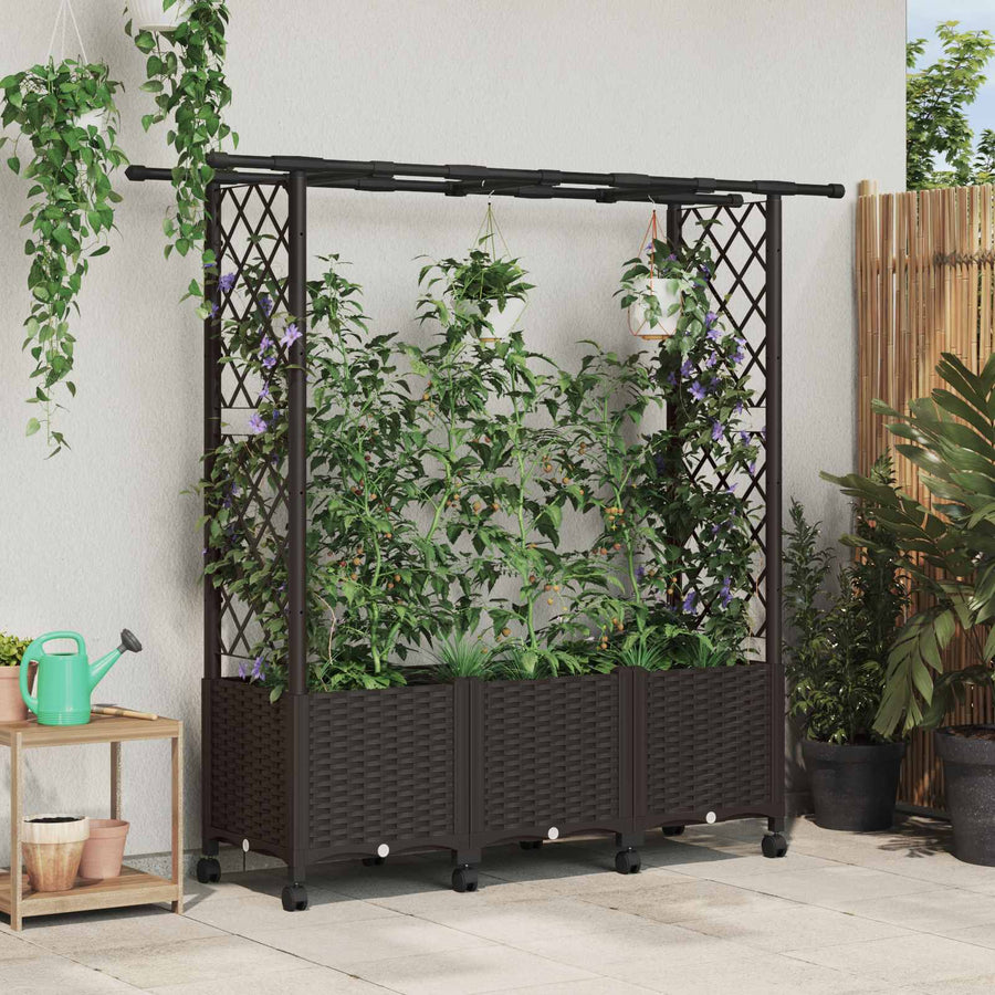 Verhoogd Bed met Trellis en Dak Bruin 162,5 x 40 x 142 cm PP