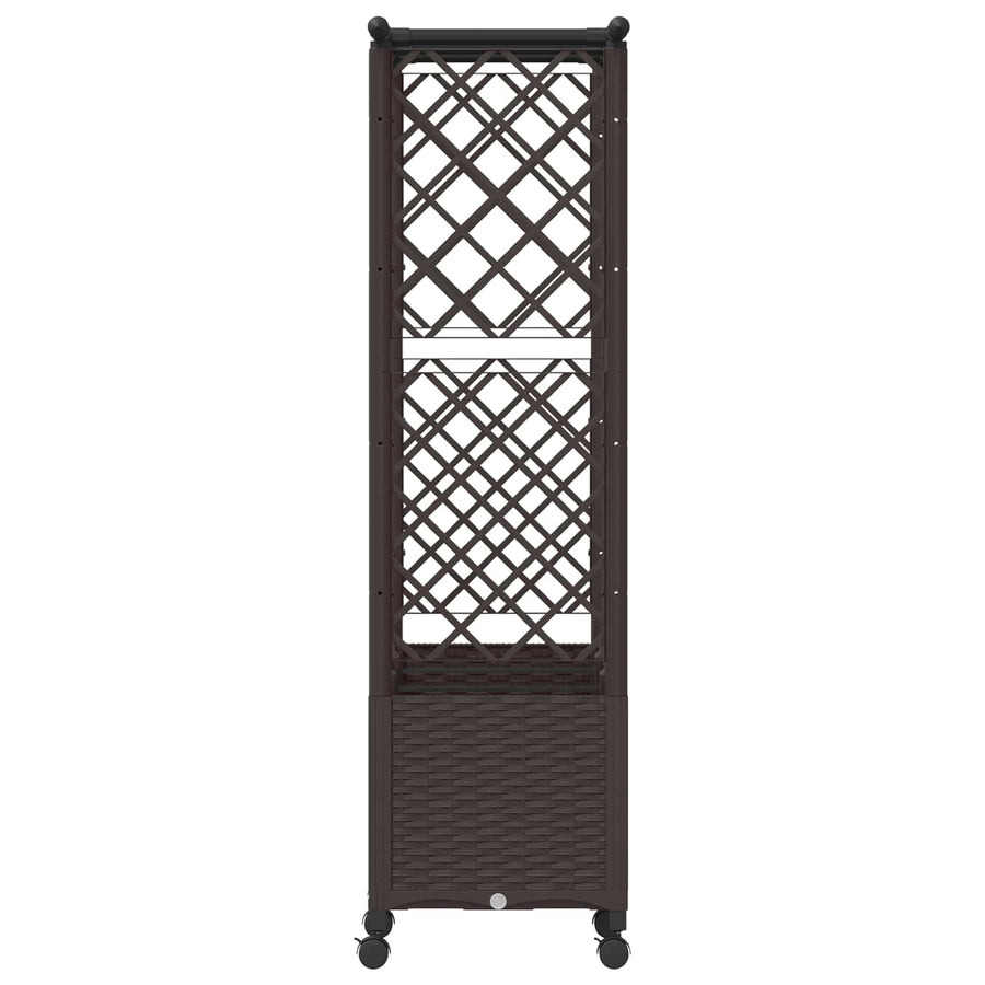 Verhoogd Bed met Trellis en Dak Bruin 162,5 x 40 x 142 cm PP