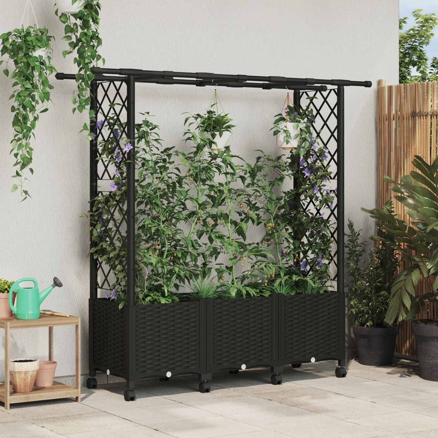 Verhoogd Bed met Trellis en Dak Zwart 162,5 x 40 x 142 cm PP