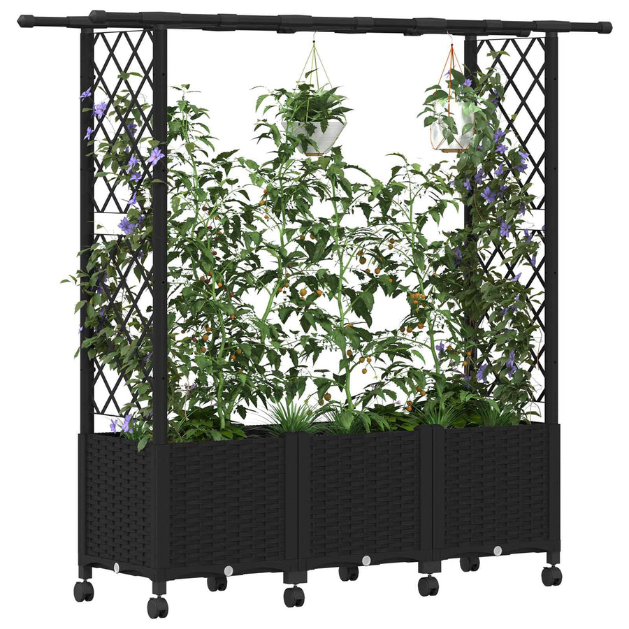 Verhoogd Bed met Trellis en Dak Zwart 162,5 x 40 x 142 cm PP
