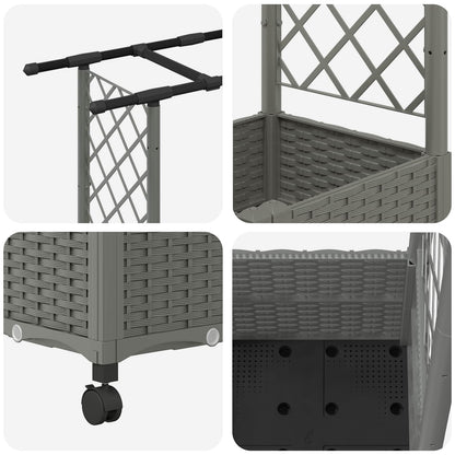 Verhoogd Bed met Trellis en Dak Lichtgrijs 162,5 x 40 x 142 cm